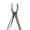 Fig. 3 Upper Molar