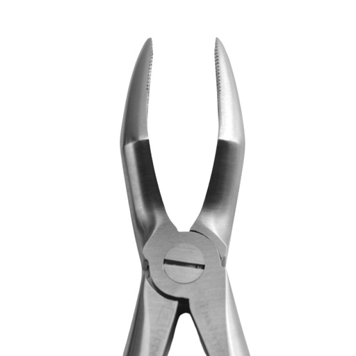 [5025-51A] Diamond Extraction Forceps Fig. 51A. Upper Roots