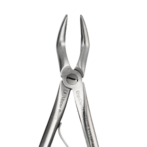 [5020-51S] Fig. 51S, Upper Roots
