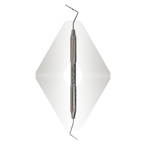 Probe William + Explorer Holst