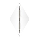 Hoe Scaler, Anterior