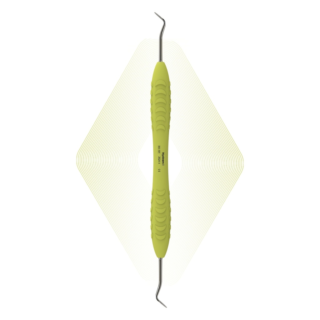 Amalgam and composite carvers and burnishers by ErgoDenta