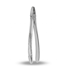 Upper Incisors and Molars | Standard Extraction Forcep | ErgoDenta