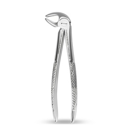 Lower Molars and Premolars | Standard Extraction Forcep | ErgoDenta